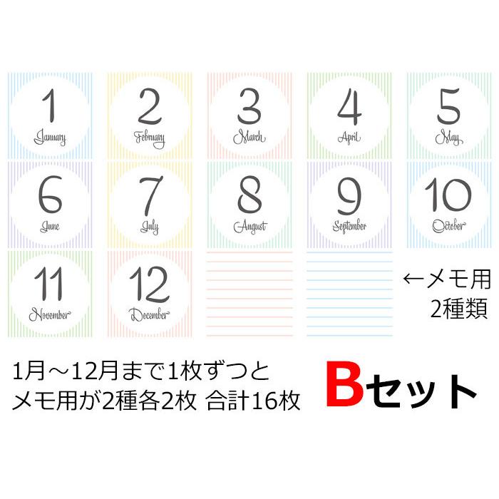 アルバム整理 マンスリーカード ましかく用 89×89ミリ 16枚セット 成長