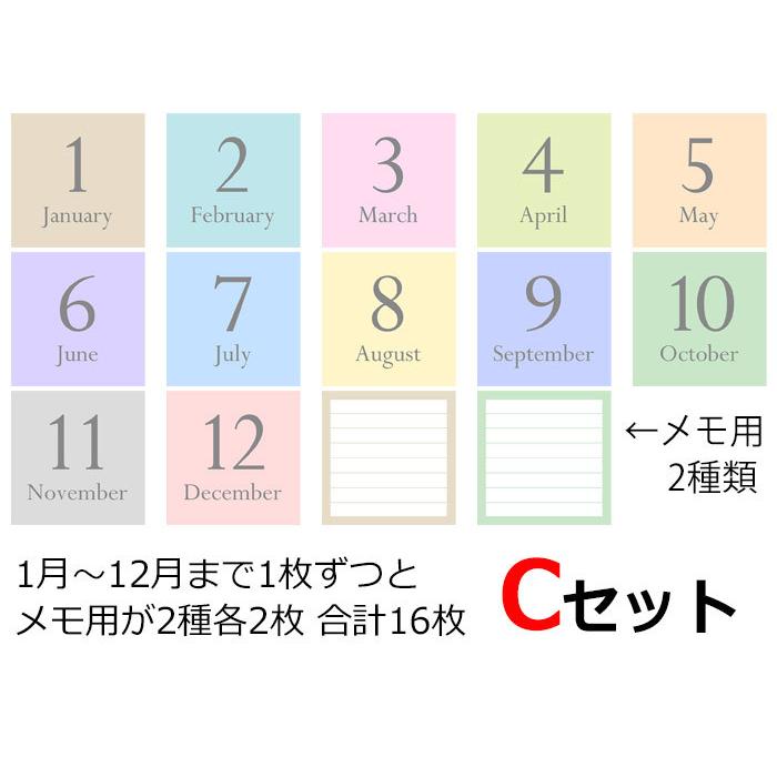アルバム整理 マンスリーカード ましかく用 89×89ミリ 16枚セット 成長