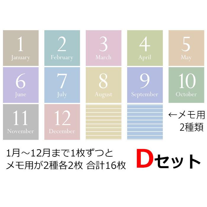 アルバム整理 マンスリーカード ましかく用 89×89ミリ 16枚セット 成長