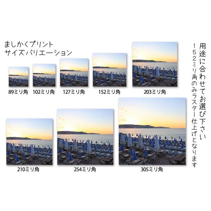 ましかく プリント 正方形 写真 大サイズ 127×127ミリ ふちあり・ふち無し選択可 ましかく プリント 正方形 写真 大サイズ 127×127ミリ ふちあり・ふち無し選択可