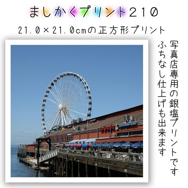りん　ましかくフォト 253-953-957mail-010.jpg