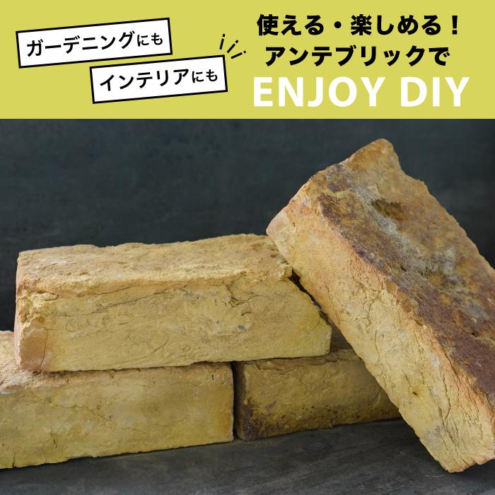レンガ 庭 煉瓦 ブリック 黄色 イエロー 薪ストーブ 炉台 炉壁 Diy ガーデニング アンテブリック 銀座イエロ 117 ケース 6個入 販売 Anab2311 Ab 117 壁材コレクションストア セラコア 通販 Yahoo ショッピング