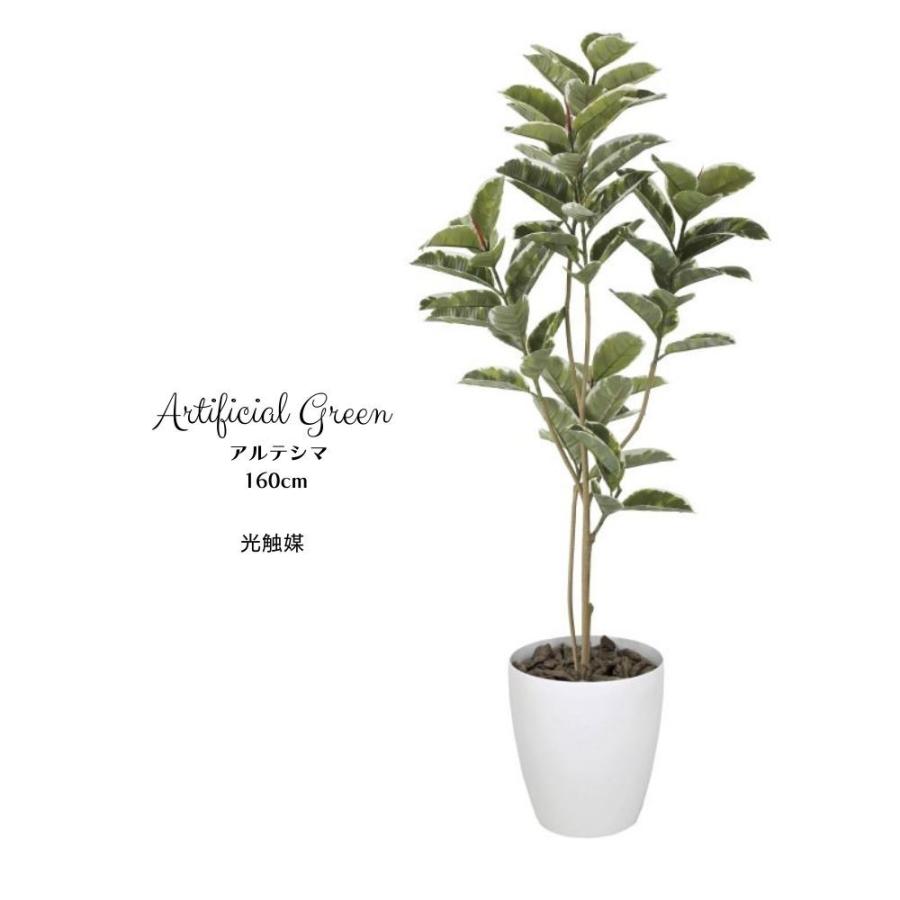 消臭抗菌空気をきれいにするインテリアグリーン アーティフィシャル造花 アルテシマ1 6m 光触媒 Pp Glpa 042 壁材コレクションストア セラコア 通販 Yahoo ショッピング