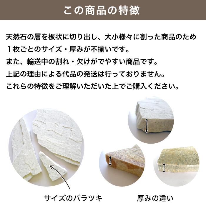 乱形 石材 天然石 乱形石 玄関 アプローチ ホワイト 白（ピエドラ
