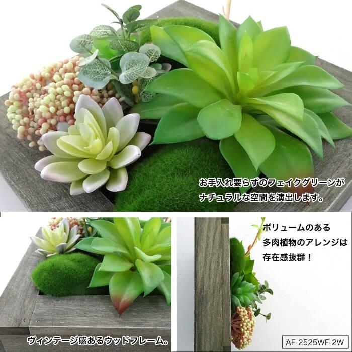 フェイクグリーン 多肉植物 造花 フレーム 壁 インテリア ウォールフラワーシリーズ 2w Af 2525wf 2w インテリアショップ セラコア 通販 Yahoo ショッピング