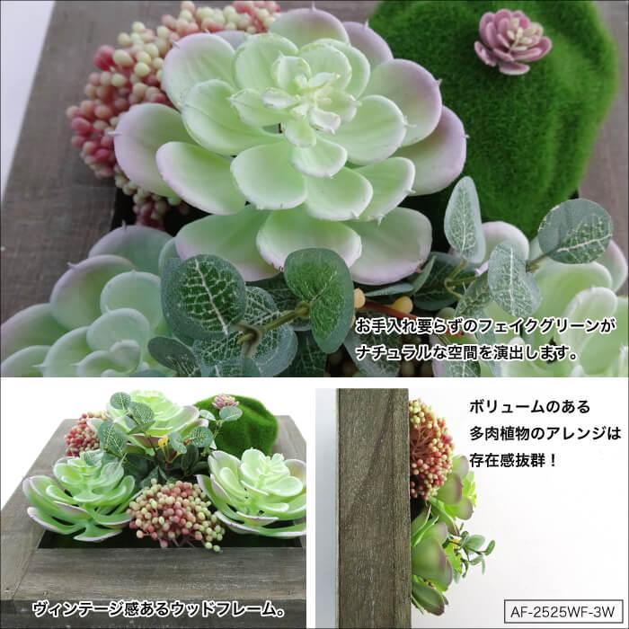 CeraCore（セラコア） フェイクグリーン 多肉植物 造花 フレーム 壁