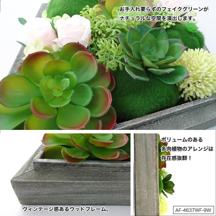 CeraCore（セラコア） フェイクグリーン 多肉植物 造花 フレーム 壁