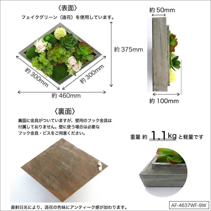 CeraCore（セラコア） フェイクグリーン 多肉植物 造花 フレーム 壁