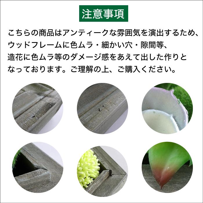 CeraCore（セラコア） フェイクグリーン 多肉植物 造花 フレーム 壁