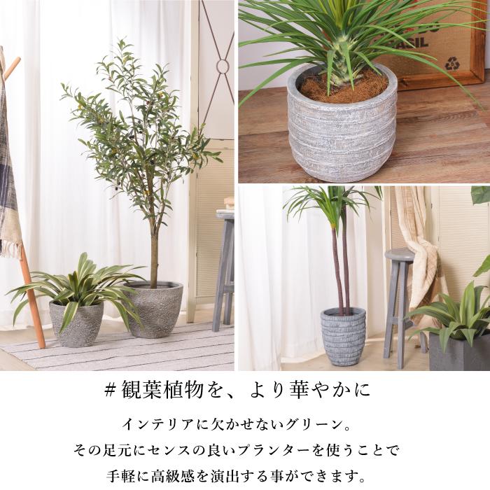 おしゃれ プランターカバー 植木鉢 鉢植え 鉢 5号 6号 観葉植物 底穴