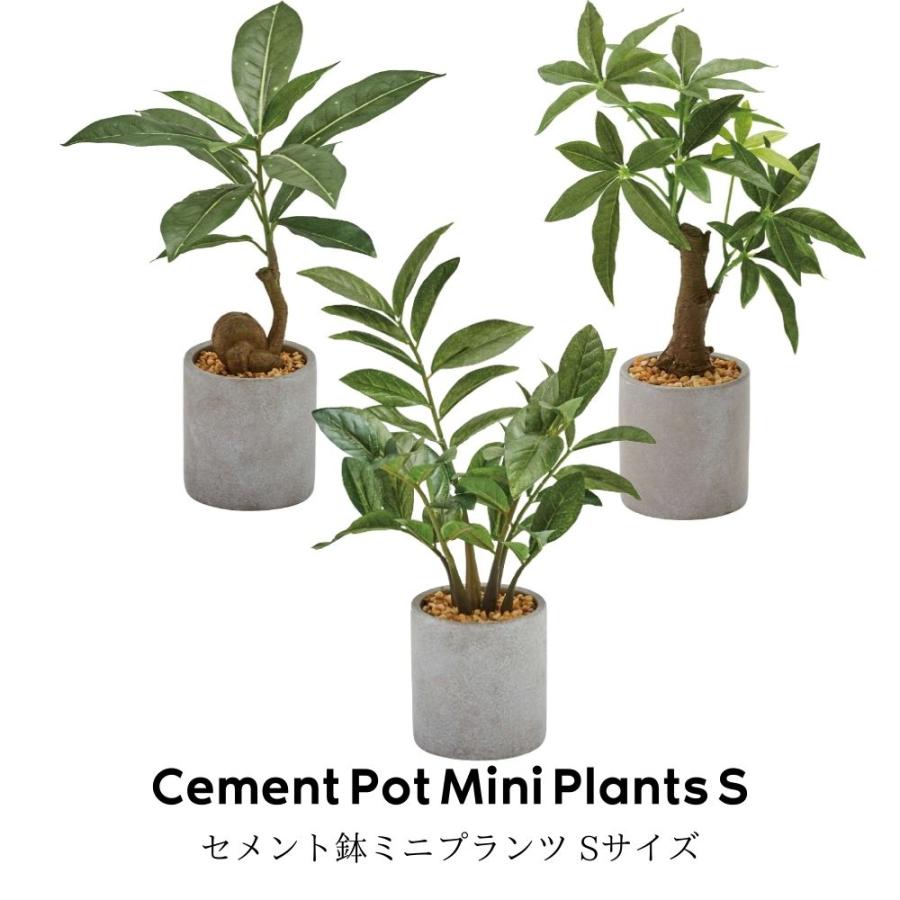 ポピー フェイクグリーン 観葉植物 インテリア雑貨 パキラ