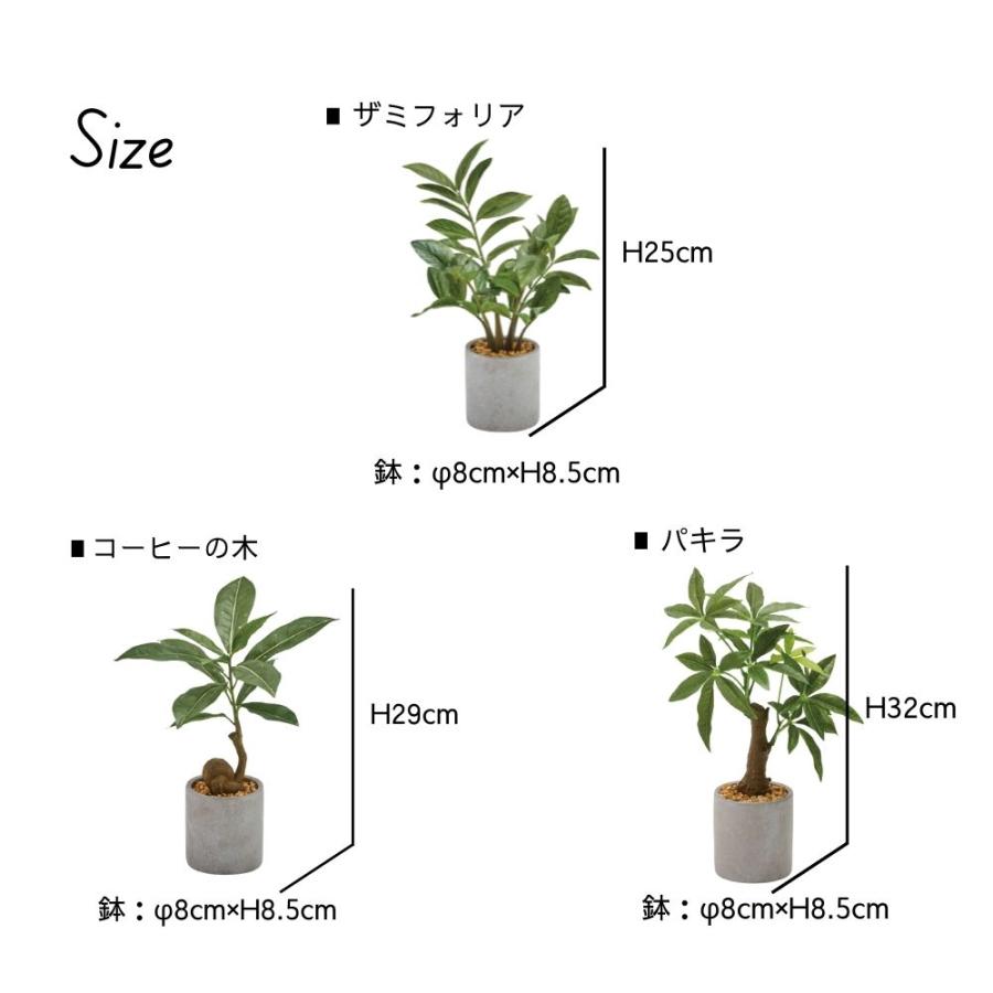 ポピー フェイクグリーン 観葉植物 インテリア雑貨 パキラ アーティ