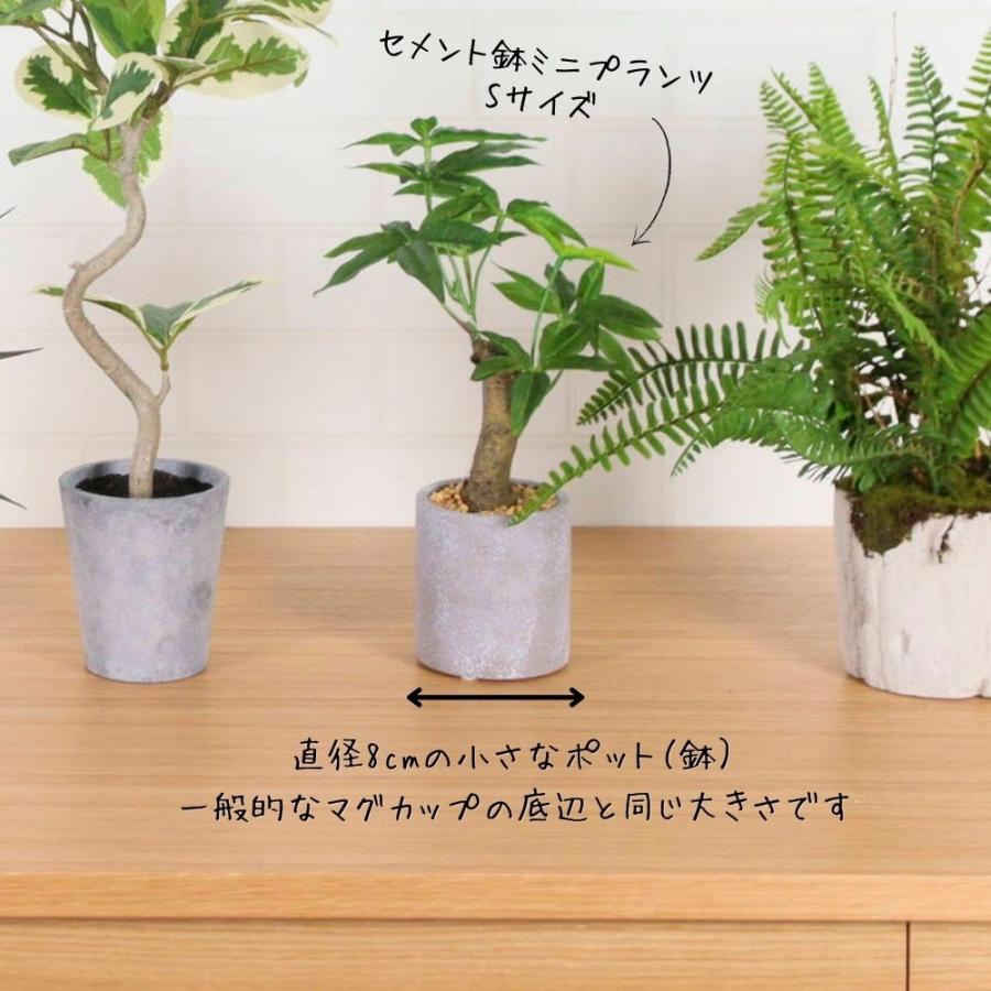 ポピー フェイクグリーン 観葉植物 インテリア雑貨 パキラ アーティ