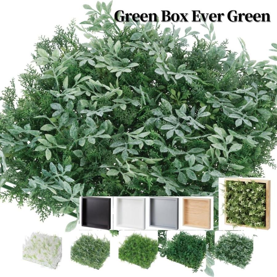 選べる植物とフレームセット 壁掛け フェイクグリーン造花 グリーンボックス エバーグリーン Pp Glmt30 C インテリアショップ セラコア 通販 Yahoo ショッピング
