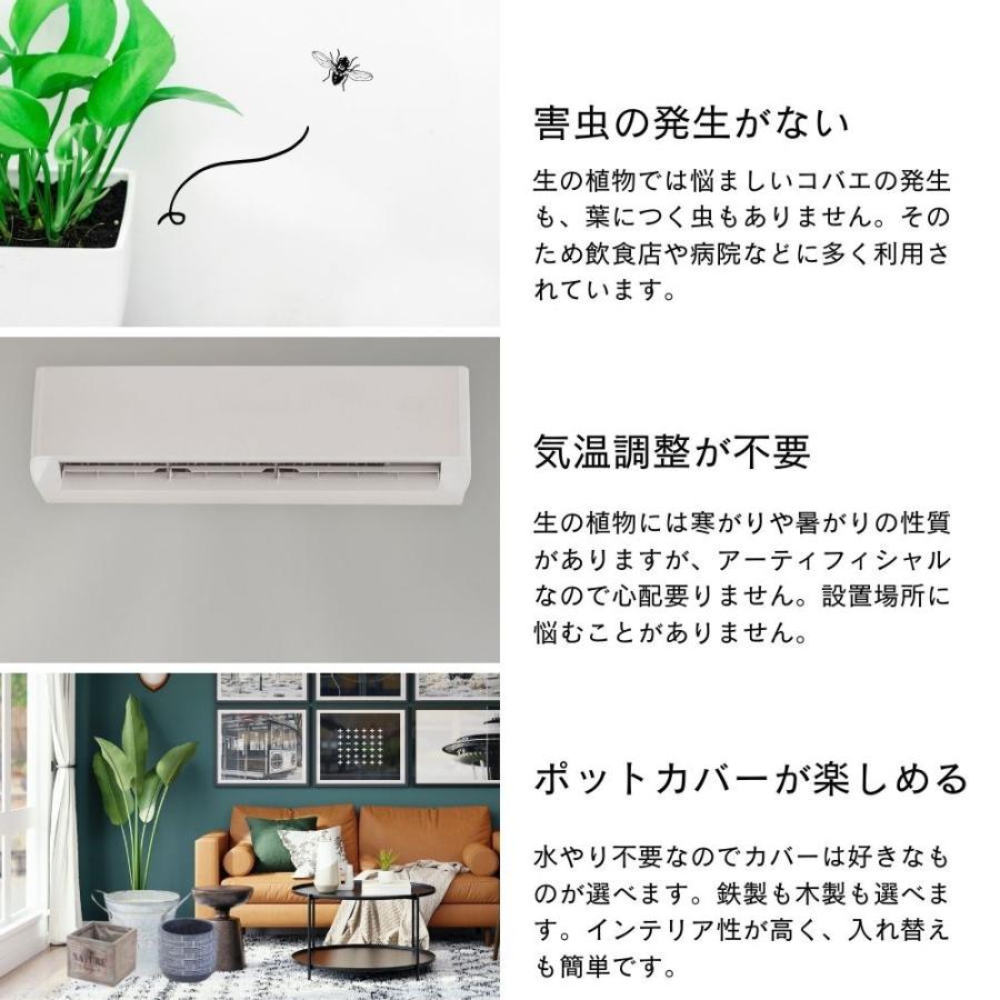 室内ledにも応答する光触媒 アーティフィシャル フェイクグリーン ベンジャミン1 6m 光触媒 人工観葉 フェイクグリーン ご予約品 Ahmedmostafa Us