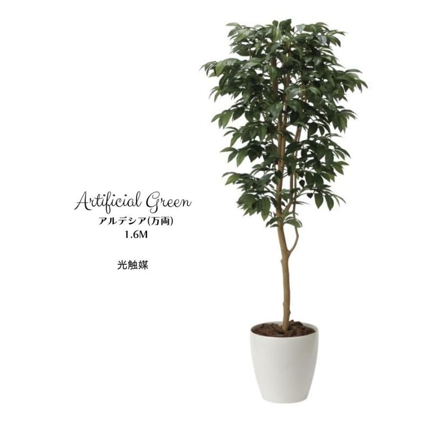 消臭抗菌 インテリアグリーン 観葉植物 造花 フェイクグリーン アーティフィシャル アルデシア1 6m 光触媒 Pp Glpa 045 インテリアショップ セラコア 通販 Yahoo ショッピング