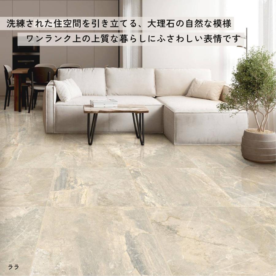 タイル 大理石 マーブル 石目模様 光沢 鏡面 ポリッシュ 内床 600