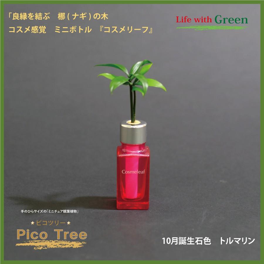 コスメ風ミニボトル １０月誕生石色 トルマリン と 土なし 清潔 水やり簡単 セラハイト ミニチュア観葉植物 ピコツリー ナギの木 Ceraphyto068 セラハイト 通販 Yahoo ショッピング