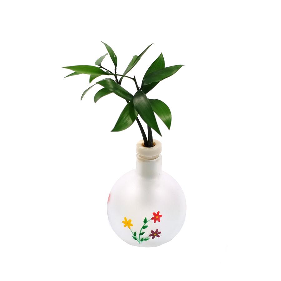 土なし 清潔 水やり簡単 セラハイト 良縁を結ぶナギの木 傘の木 シェフレラ と 三浦園芸社製 ミニミニベース 2個セット Ceraphyto196 セラハイト 通販 Yahoo ショッピング