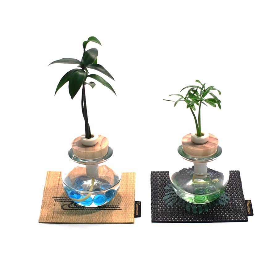 良縁を結ぶ 梛 ナギ の木 槇 マキ の木 花言葉 慈愛 色あせぬ恋 アムツムグ オリジナル 家紋付き い草コースター Ceraphyto309 セラハイト 通販 Yahoo ショッピング