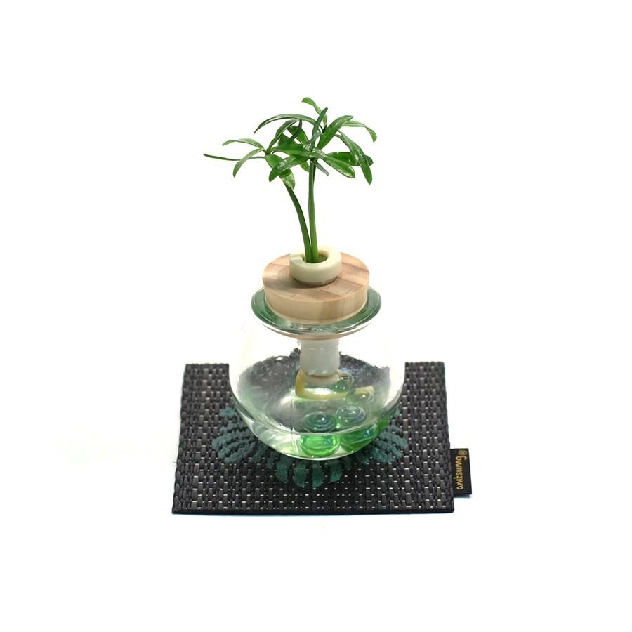 良縁を結ぶ 梛 ナギ の木 槇 マキ の木 花言葉 慈愛 色あせぬ恋 アムツムグ オリジナル 家紋付き い草コースター Ceraphyto309 セラハイト 通販 Yahoo ショッピング