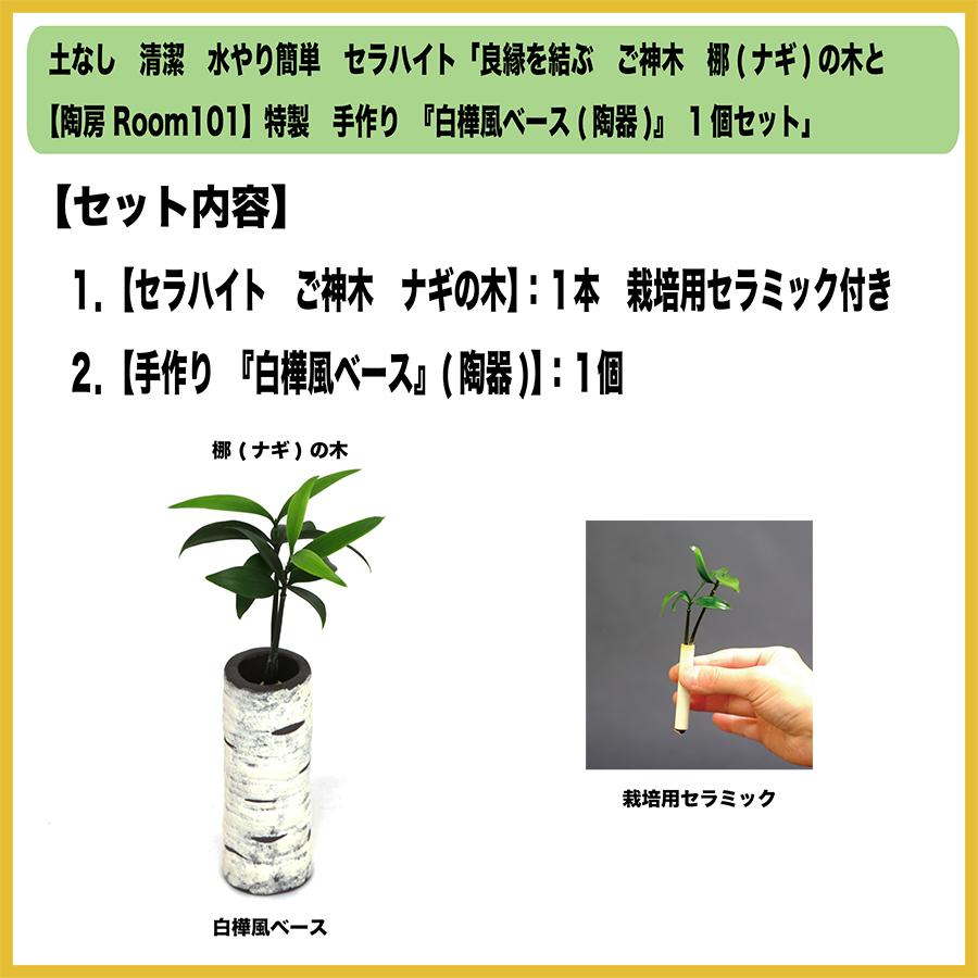 Sale 93 Off 良縁を結ぶ 梛 ナギ の木 と 陶房room101 特製 白樺風陶器ベース 1個セット スタンド式 Wantannas Go Id