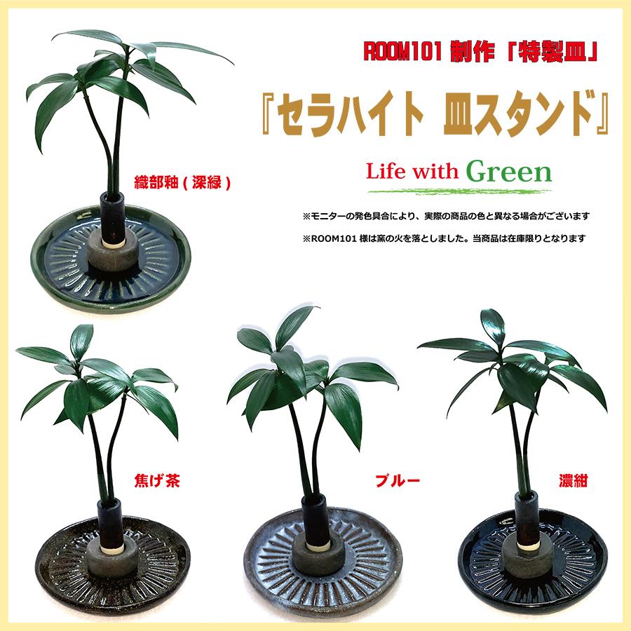 Sale 93 Off 良縁を結ぶ 梛 ナギ の木 と 陶房room101 特製 白樺風陶器ベース 1個セット スタンド式 Wantannas Go Id