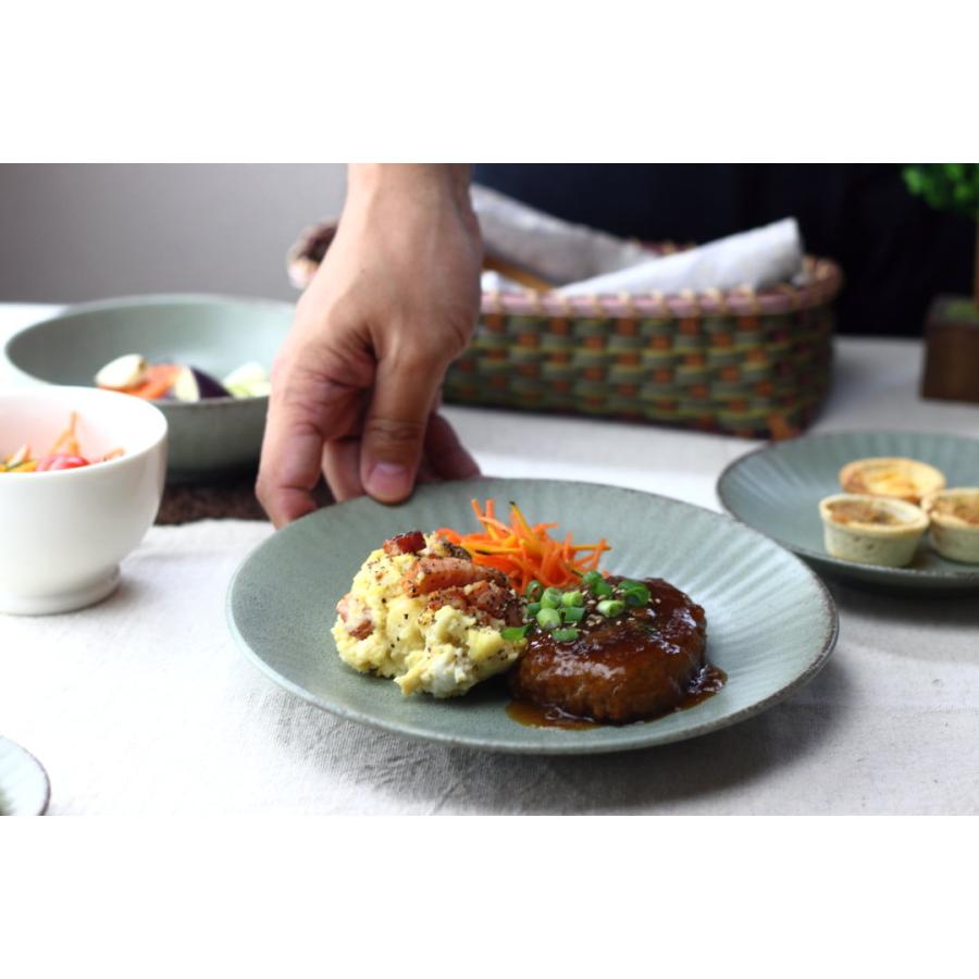 ウラヌス 大皿22cm 日本製 美濃焼 RK70皿 大皿 中皿 和皿 深皿 パスタ