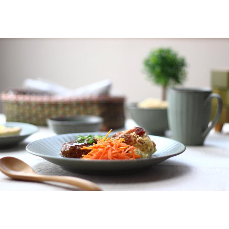 ウラヌス 大皿22cm 日本製 美濃焼 RK70皿 大皿 中皿 和皿 深皿 パスタ