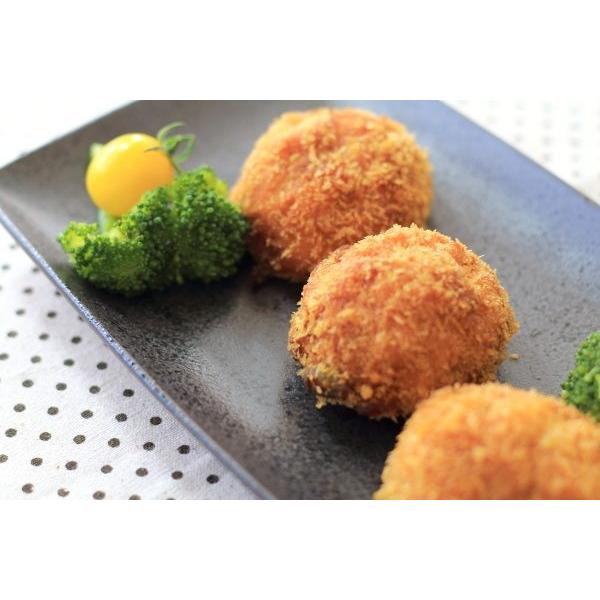 焼物皿23.5cm 黒茶 国産 美濃焼 居酒屋風焼き鳥皿です 角皿