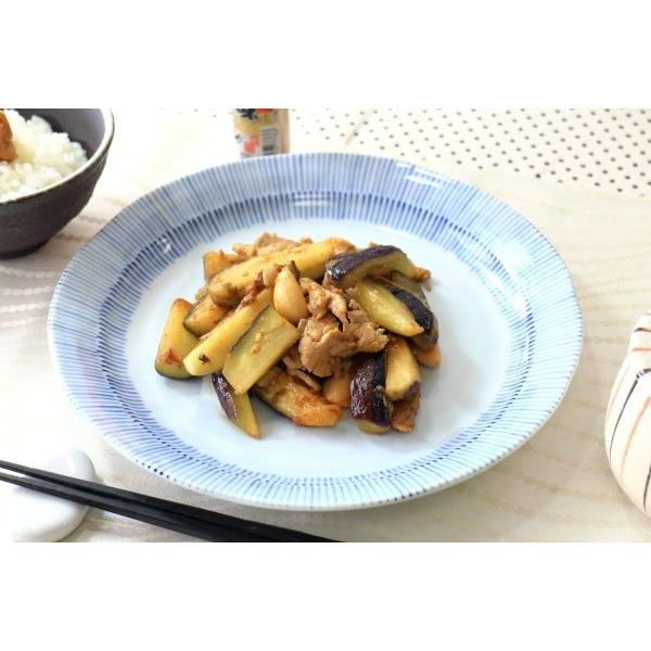 京十草 7寸大皿 国産 美濃焼 丸皿 ワンプレート 丸プレート パスタ皿