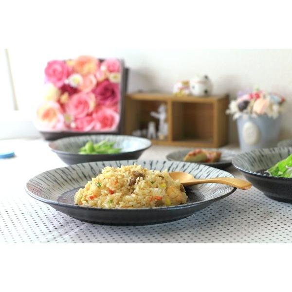 黒潮 8寸大皿 国産 美濃焼 マルチプレート パスタ皿 ステーキ皿 メイン