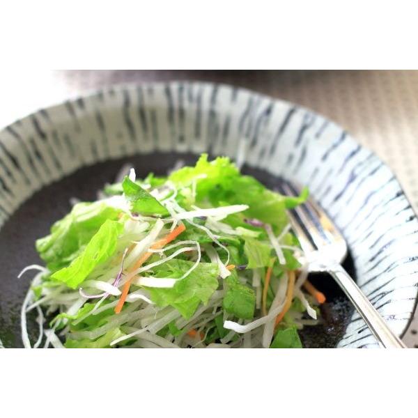 黒潮 7寸深鉢 国産 美濃焼 パスタ皿 カレー皿 サラダ鉢 深皿 麺鉢 主食