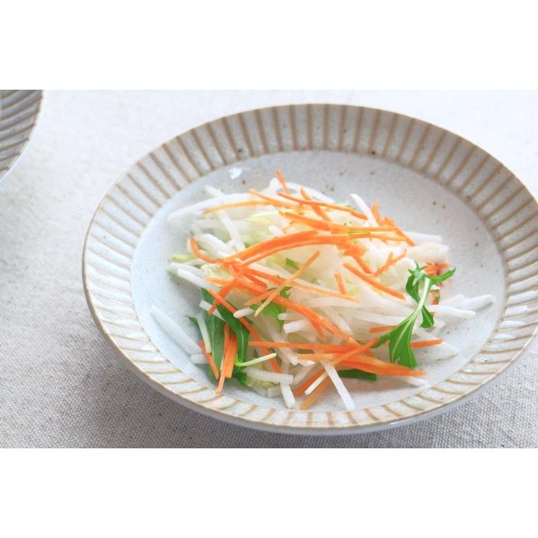 ラジアル 5寸 浅鉢 17cm 国産 美濃焼 リム型5.0浅鉢 小鉢 小皿 中鉢 中