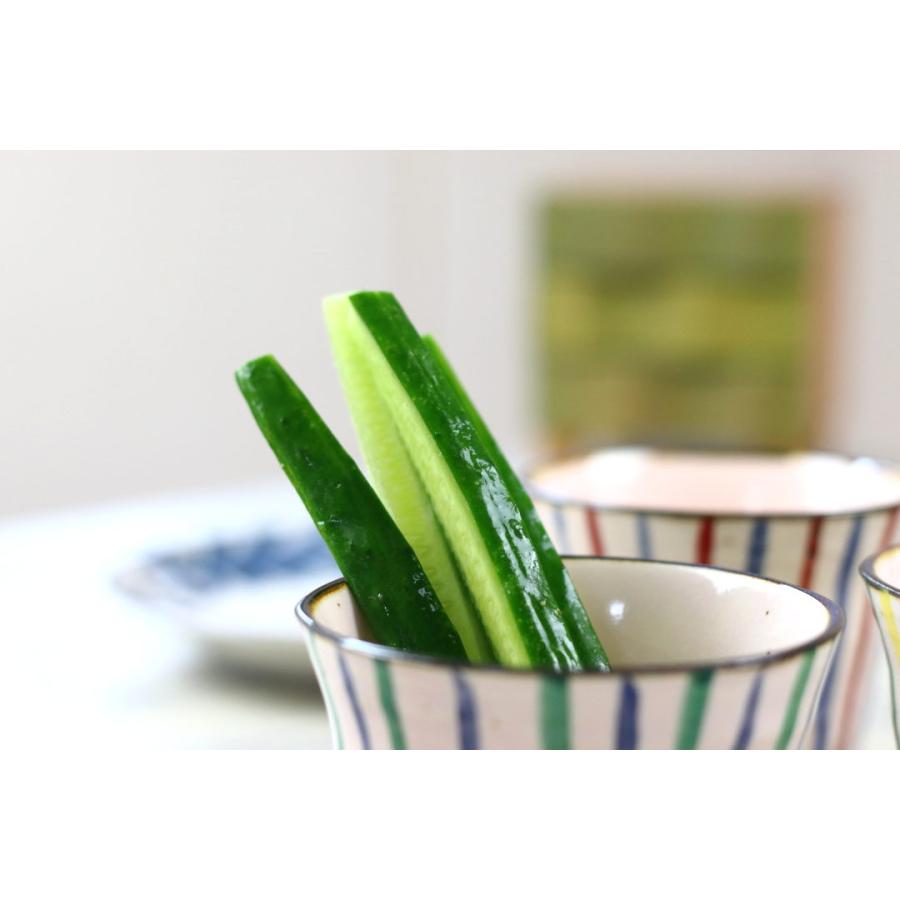 彩り十草の和食器そば猪口 日本製 美濃焼 定番商品 カラフルな十草模様