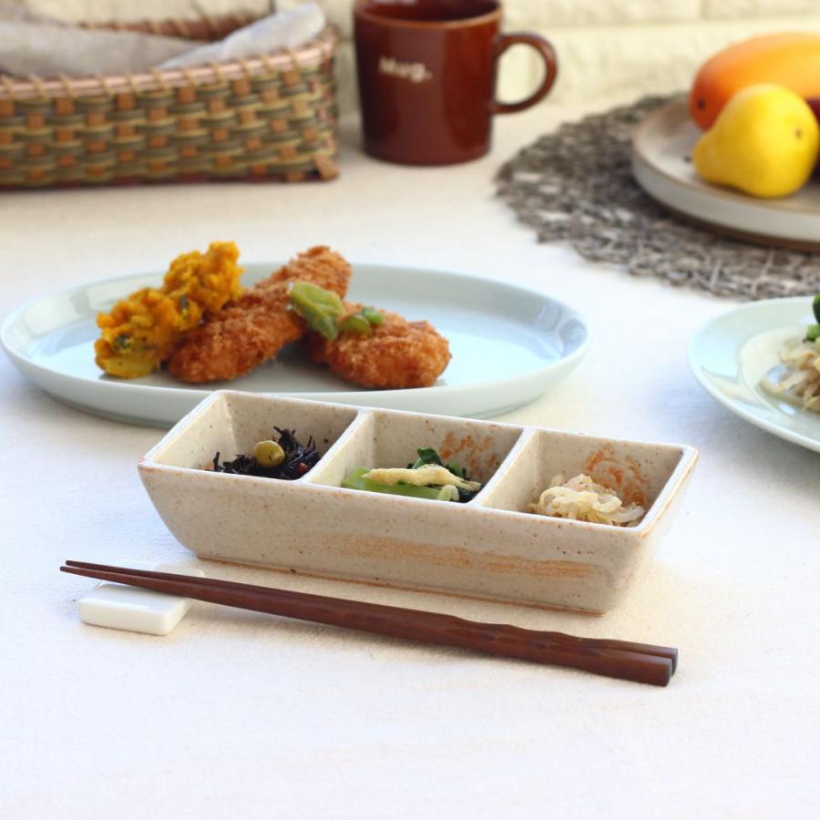 有田焼 三点盛り皿 朱色薄め 日本製 美濃焼 瀬戸焼 20cm オレンジ 業務