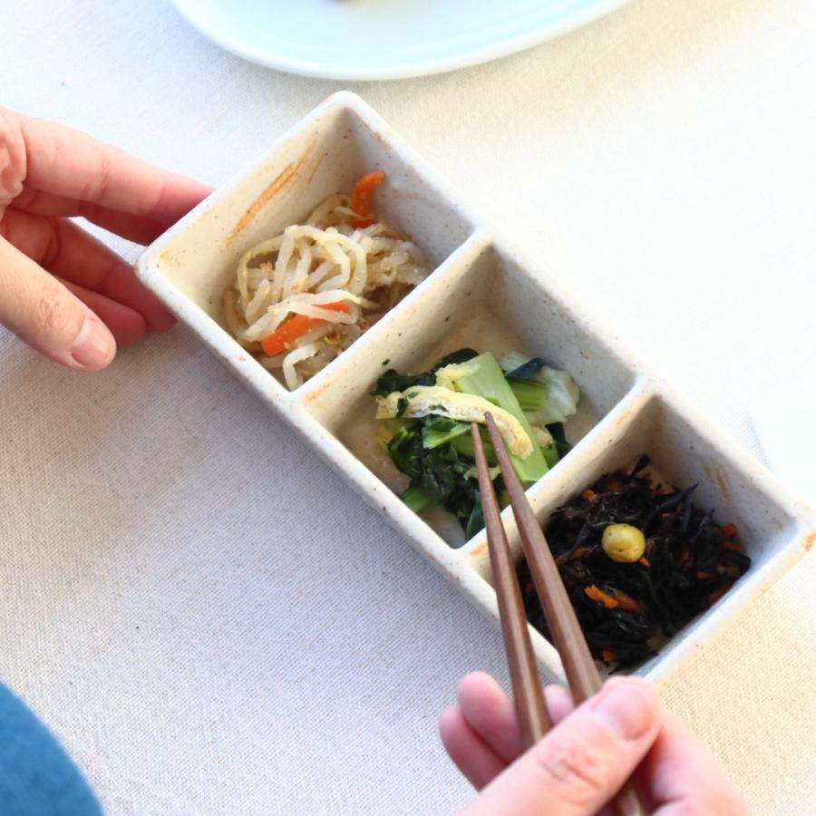 有田焼 三点盛り皿 朱色薄め 日本製 美濃焼 瀬戸焼 20cm オレンジ 業務