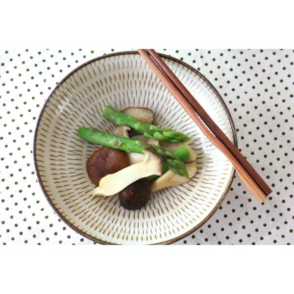 美濃民芸 5.5寸浅鉢 国産 美濃焼 煮物鉢 中鉢 刺身鉢 お浸し 和食 和