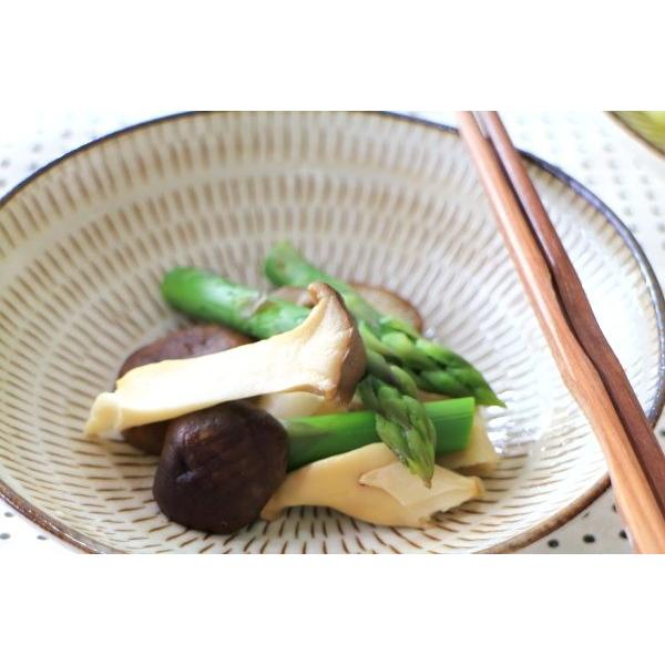 美濃民芸 5.5寸浅鉢 国産 美濃焼 煮物鉢 中鉢 刺身鉢 お浸し 和食 和
