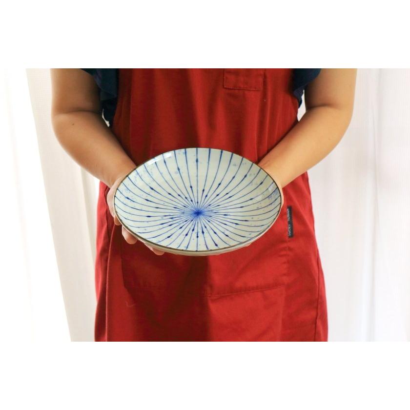 吹墨十草 三角大皿 22.5cm 国産 美濃焼 8寸大皿 三角80皿 パスタ皿