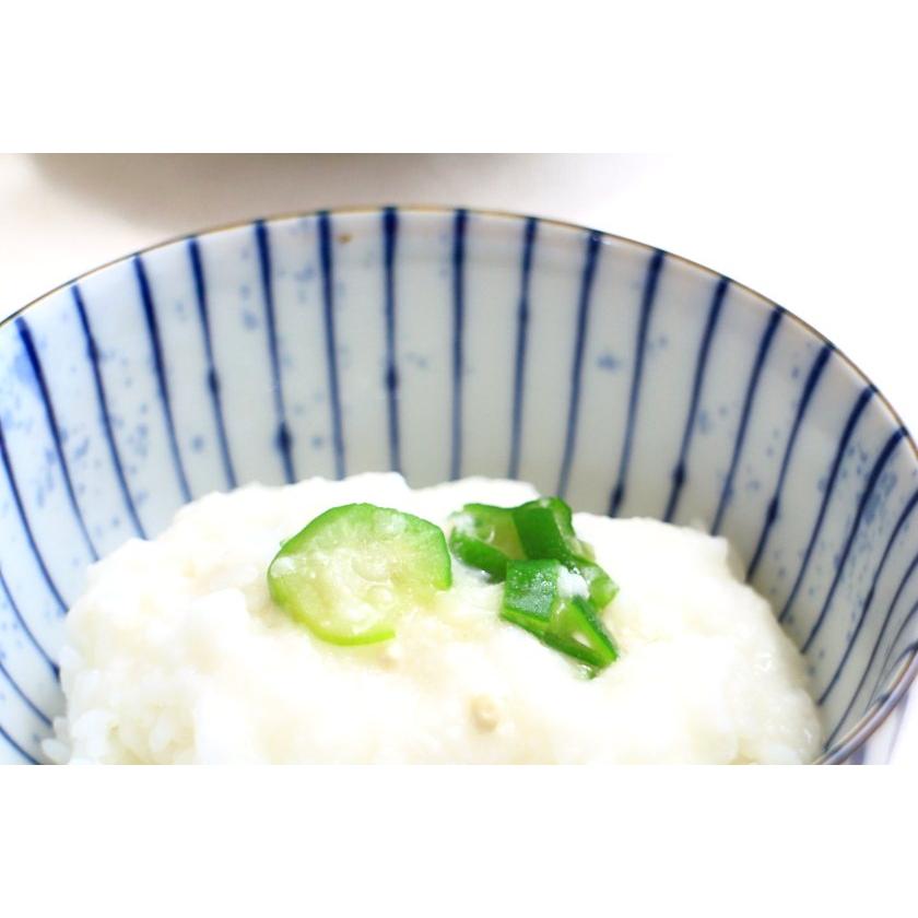 吹墨十草 小丼 13cm 国産 美濃焼 お好み丼(小) 麺鉢 うどん鉢 吹墨十草 小丼 13cm 国産 美濃焼 お好み丼(小) 麺鉢 うどん鉢