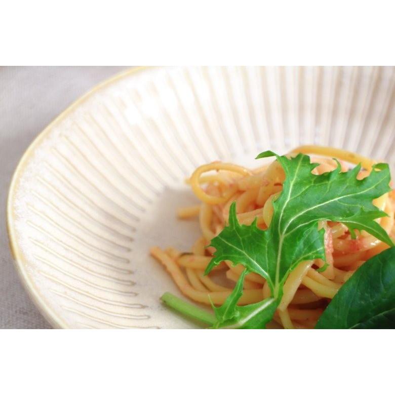 ナチュラル十草 8吋パスタボール チタンマット白 20.5cm 国産 美濃焼