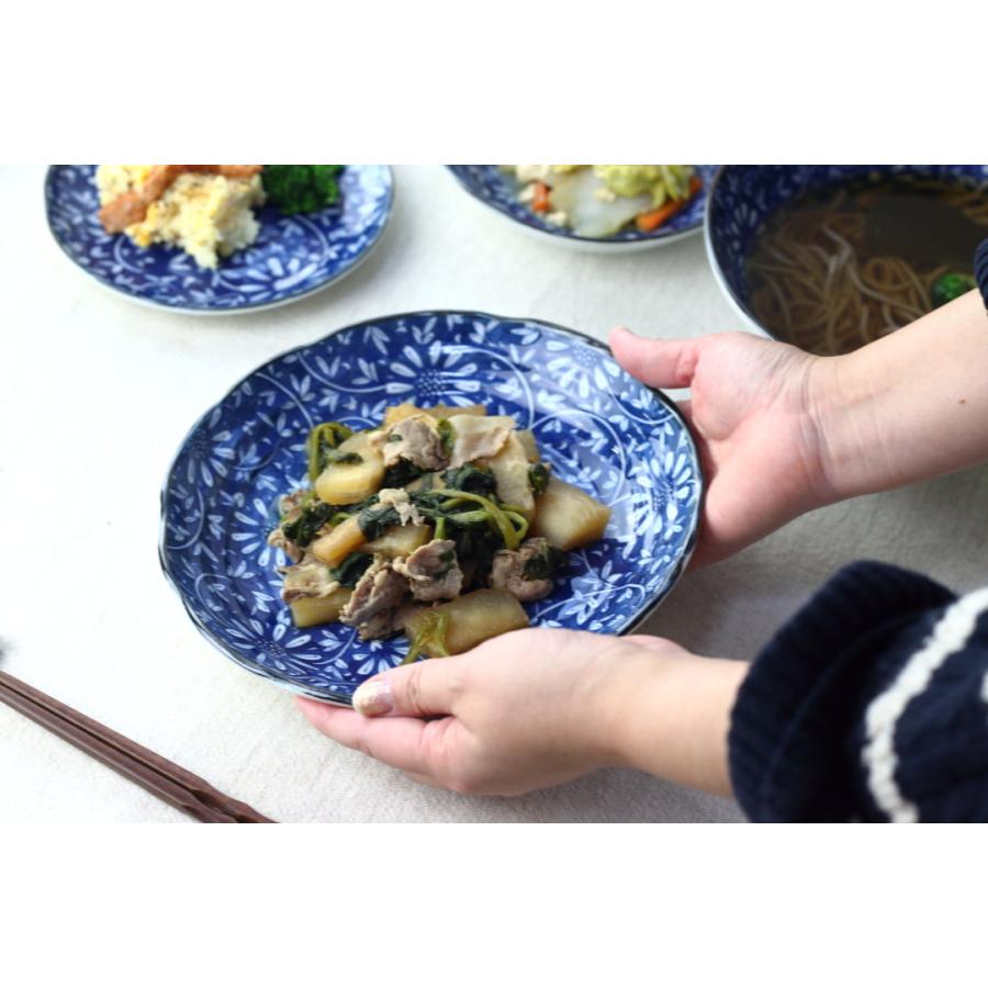 藍華 パスタ深皿 22cm 日本製 美濃焼 7寸深皿 パスタ皿 カレー皿 藍華 パスタ深皿 22cm 日本製 美濃焼 7寸深皿 パスタ皿 カレー皿