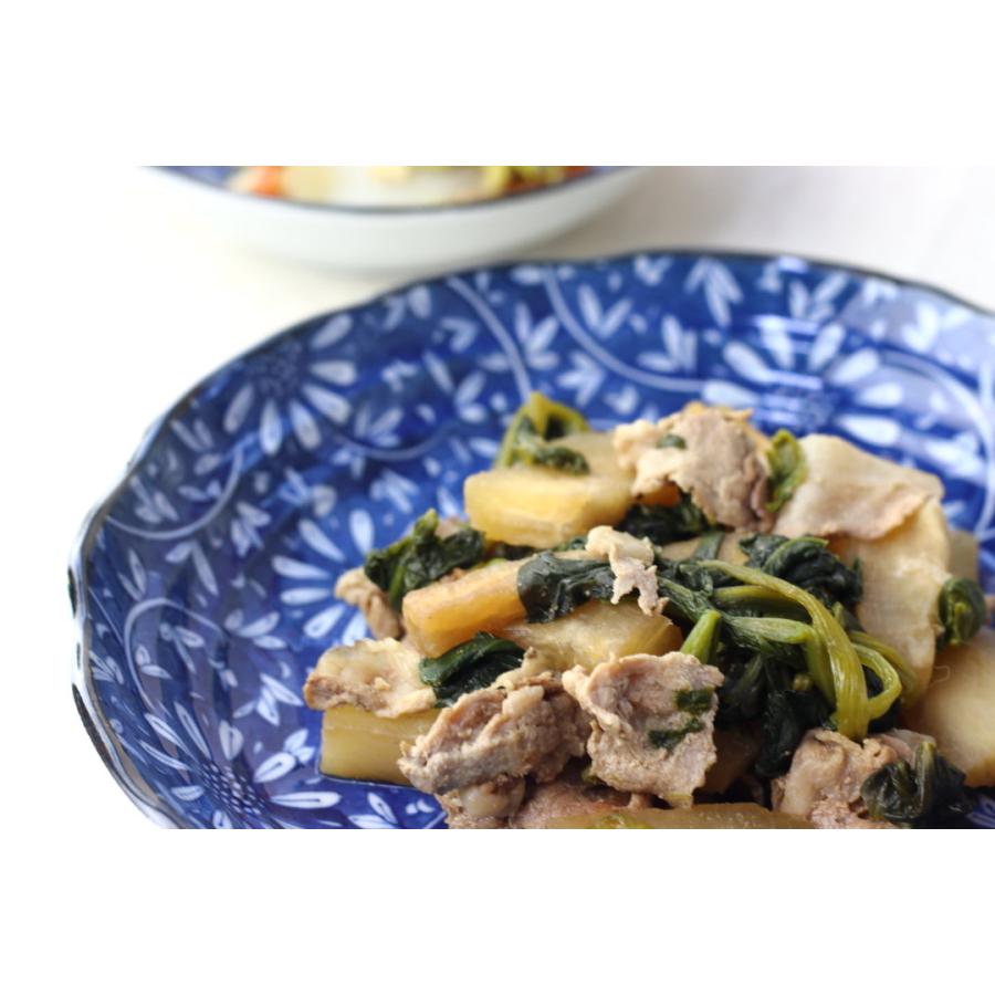 藍華 パスタ深皿 22cm 日本製 美濃焼 7寸深皿 パスタ皿 カレー皿 藍華 パスタ深皿 22cm 日本製 美濃焼 7寸深皿 パスタ皿 カレー皿