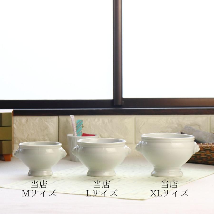 ライオントリフボール 480ml XLサイズ 日本製 美濃焼 スープを入れて