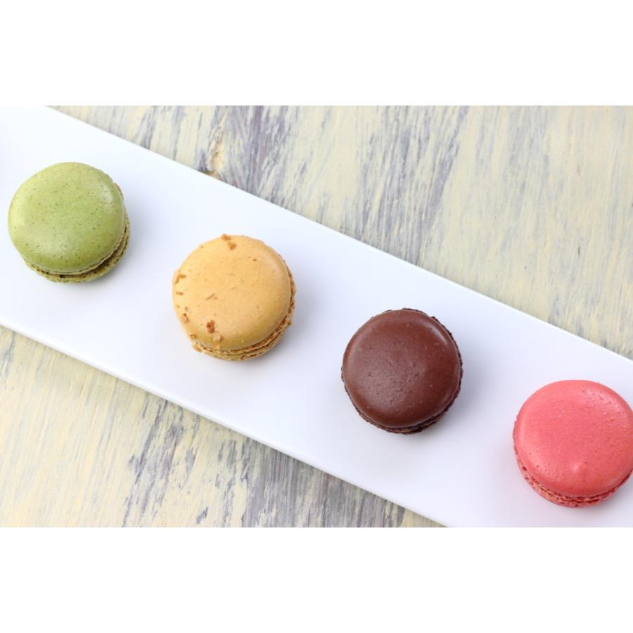 マカロンの似合うロングプレート 36.5cm 日本製 美濃焼 細長い プチ