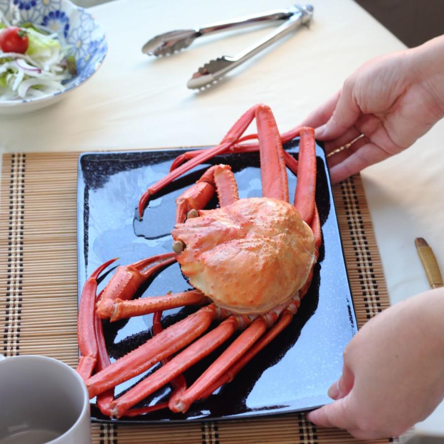 黒ツヤ結晶スクエアプレート 30cm 日本製 美濃焼 パスタ皿 角皿