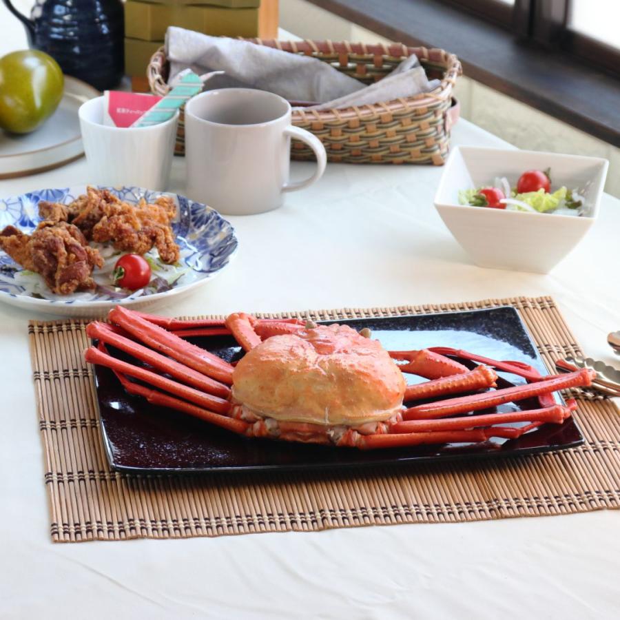黒ツヤ結晶スクエアプレート 30cm 日本製 美濃焼 パスタ皿 角皿