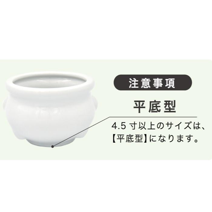 仏具 香炉 平底型 青磁 6寸 焼香 線香立 佛具 仏壇 供養 手元供養 お盆