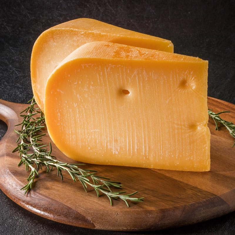 チムページ Cummins 5413187 V-Ribbed Belts + Cross Reference | FinditParts